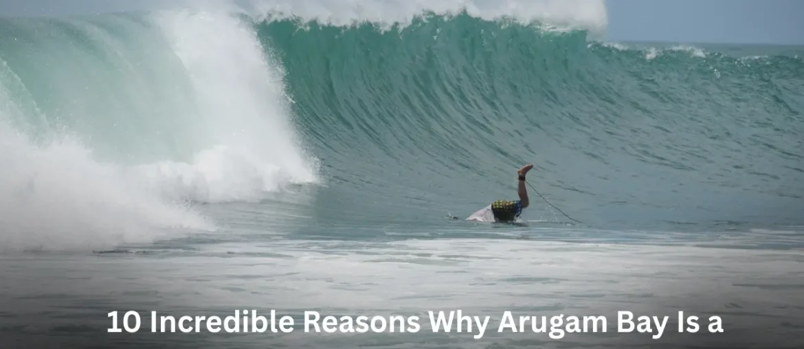 10 Incredible Reasons Why Arugam Bay Is a Must-Visit for Surfing & Lagoon Safaris