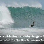 10 Incredible Reasons Why Arugam Bay Is a Must-Visit for Surfing & Lagoon Safaris