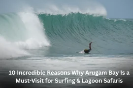 10 Incredible Reasons Why Arugam Bay Is a Must-Visit for Surfing & Lagoon Safaris