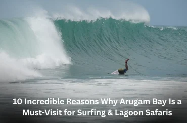 10 Incredible Reasons Why Arugam Bay Is a Must-Visit for Surfing & Lagoon Safaris