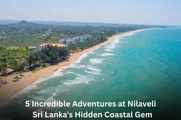 5 Incredible Adventures at Nilaveli – Sri Lanka’s Hidden Coastal Gem 5 Incredible Adventures at Nilaveli – Sri Lanka’s Hidden Coastal Gem