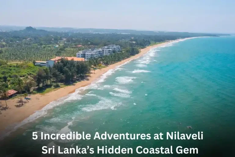 5 Incredible Adventures at Nilaveli – Sri Lanka’s Hidden Coastal Gem 5 Incredible Adventures at Nilaveli – Sri Lanka’s Hidden Coastal Gem