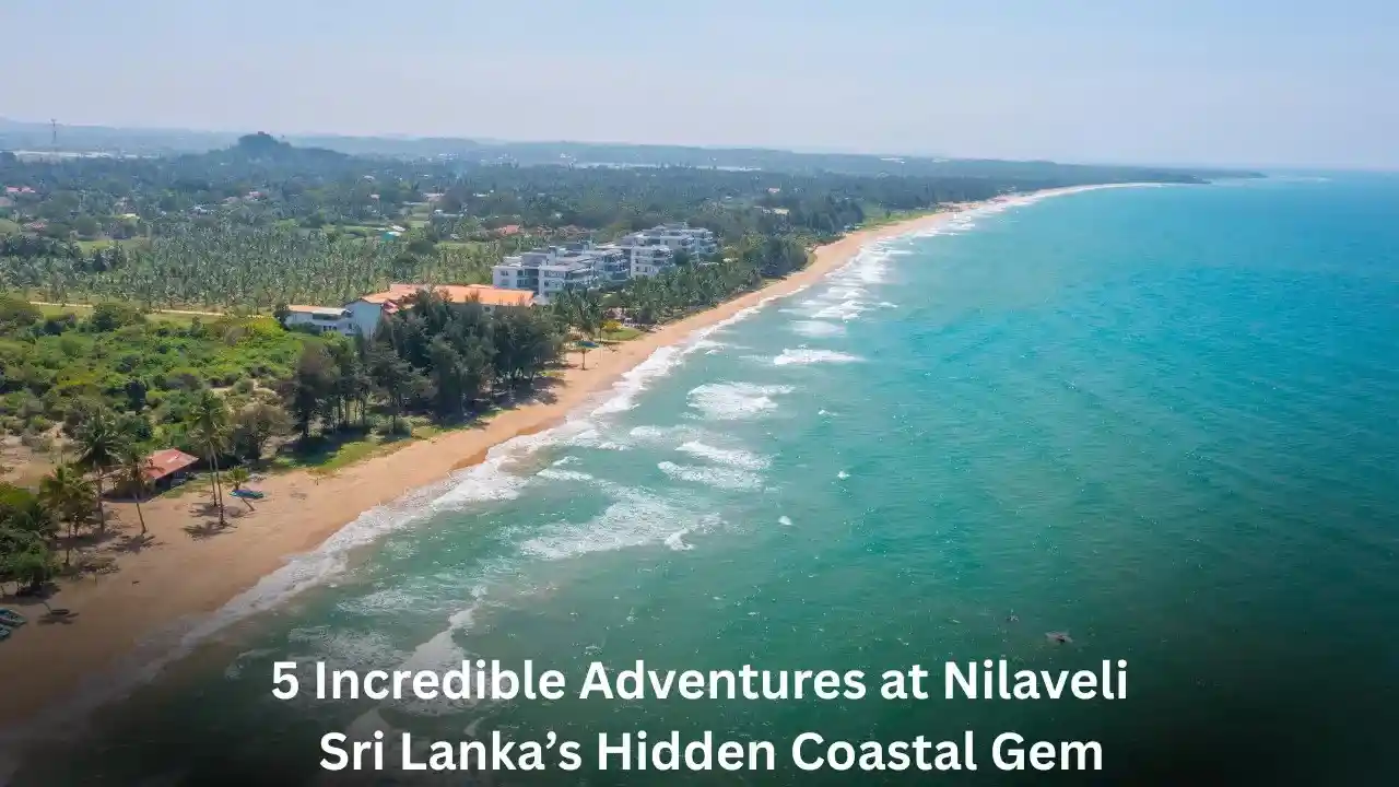 5 Incredible Adventures at Nilaveli – Sri Lanka’s Hidden Coastal Gem 5 Incredible Adventures at Nilaveli – Sri Lanka’s Hidden Coastal Gem
