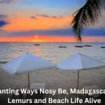 7 Enchanting Ways Nosy Be, Madagascar Brings Lemurs and Beach Life Alive