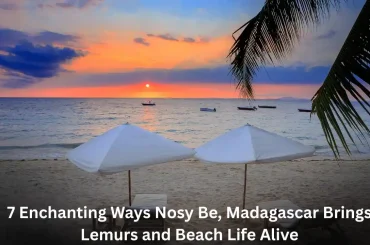 7 Enchanting Ways Nosy Be, Madagascar Brings Lemurs and Beach Life Alive 7 Enchanting Ways Nosy Be, Madagascar Brings Lemurs and Beach Life Alive