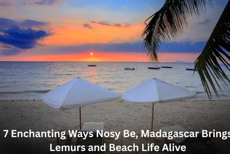 7 Enchanting Ways Nosy Be, Madagascar Brings Lemurs and Beach Life Alive 7 Enchanting Ways Nosy Be, Madagascar Brings Lemurs and Beach Life Alive