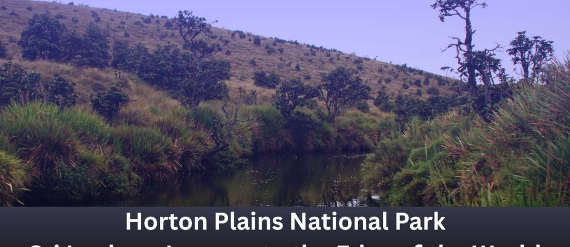 Discover The Breathtaking Beauti Of Horton Plains National Park, Sri Lanka – Journey to the Edge Of The World 2025 Horton Plains National Park, Sri Lanka – Journey to the Edge of the World