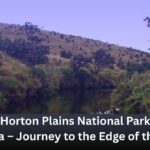 Horton Plains National Park, Sri Lanka – Journey to the Edge of the World