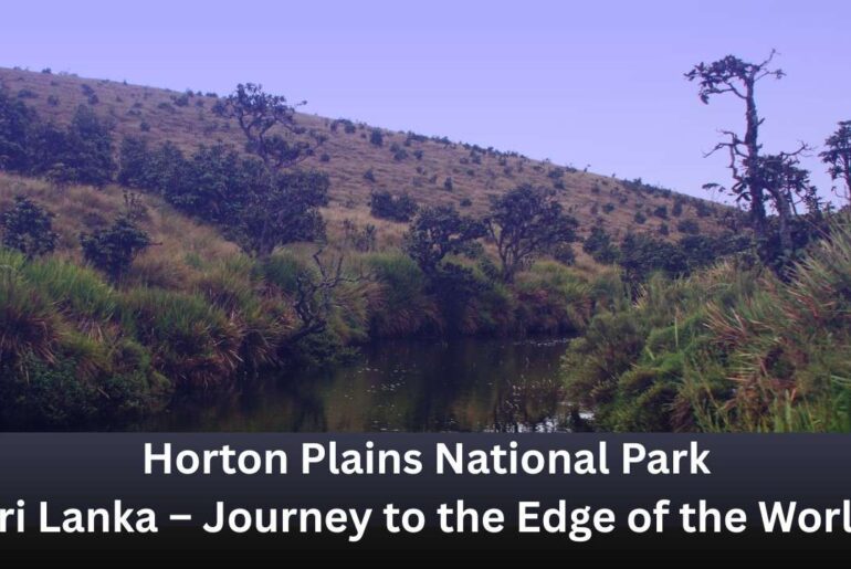 Horton Plains National Park, Sri Lanka – Journey to the Edge of the World