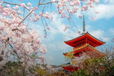 7 Magical Highlights of Kyoto, Japan – Your Ultimate Cultural Escape