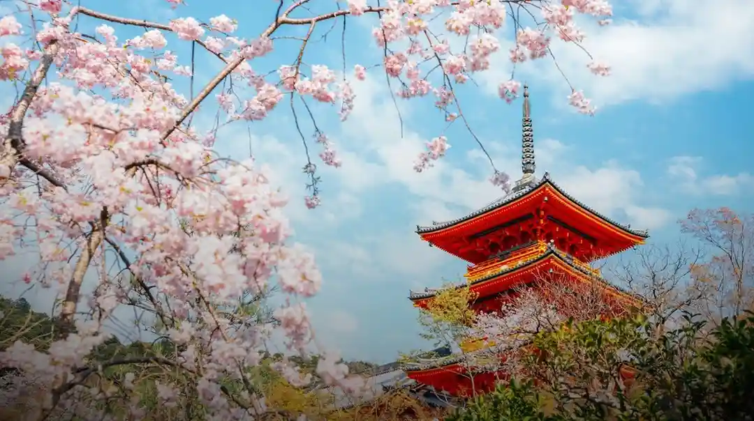 7 Magical Highlights of Kyoto, Japan – Your Ultimate Cultural Escape