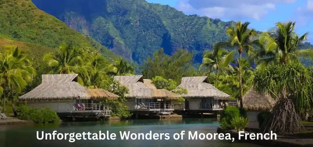 7 Unforgettable Wonders of Moorea, French Polynesia You Must Experience