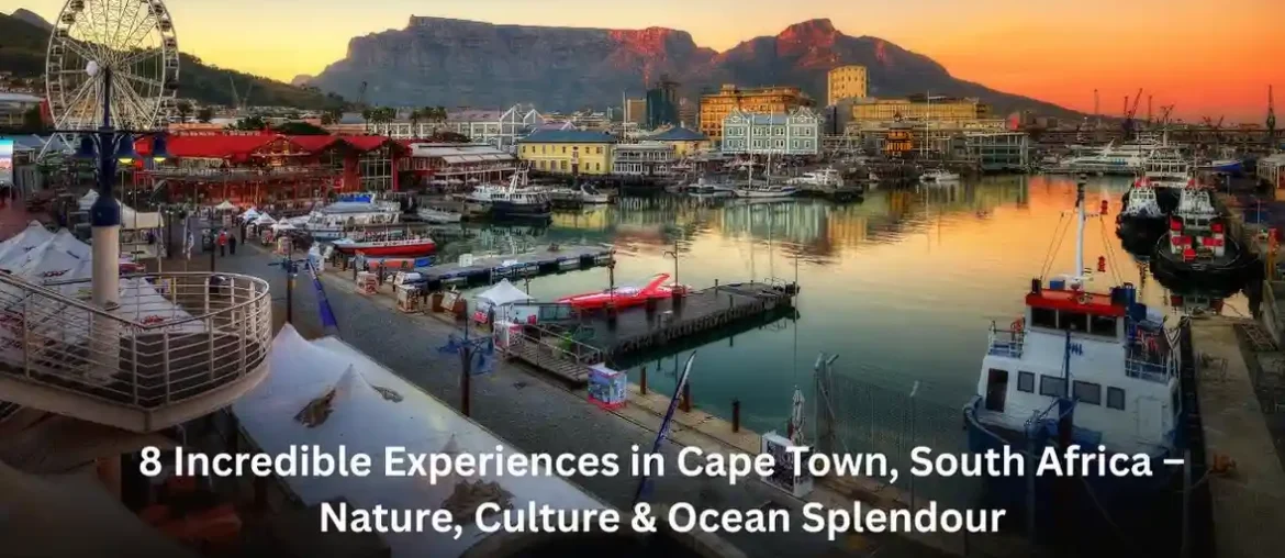 8 Incredible Experiences in Cape Town, South Africa – Nature, Culture & Ocean Splendour 8 Incredible Experiences in Cape Town, South Africa – Nature, Culture & Ocean Splendour