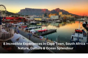 8 Incredible Experiences in Cape Town, South Africa – Nature, Culture & Ocean Splendour 8 Incredible Experiences in Cape Town, South Africa – Nature, Culture & Ocean Splendour