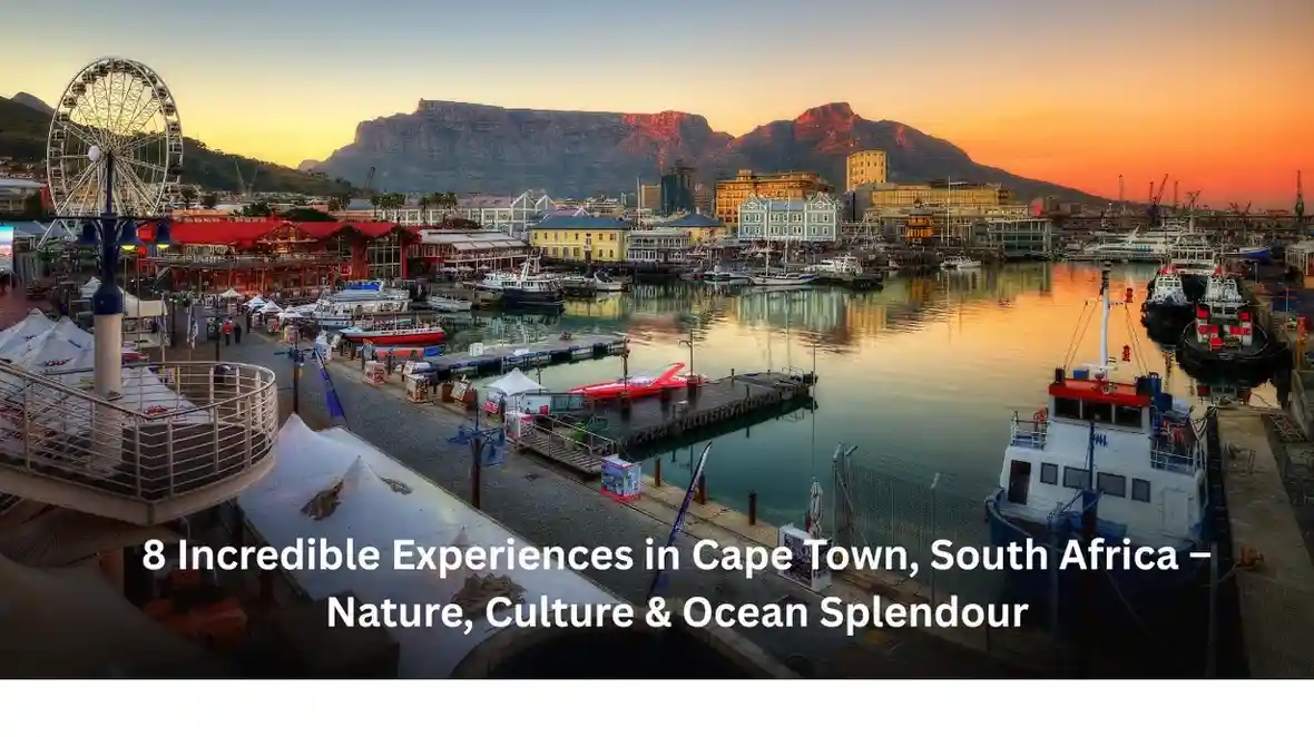 8 Incredible Experiences in Cape Town, South Africa – Nature, Culture & Ocean Splendour 8 Incredible Experiences in Cape Town, South Africa – Nature, Culture & Ocean Splendour