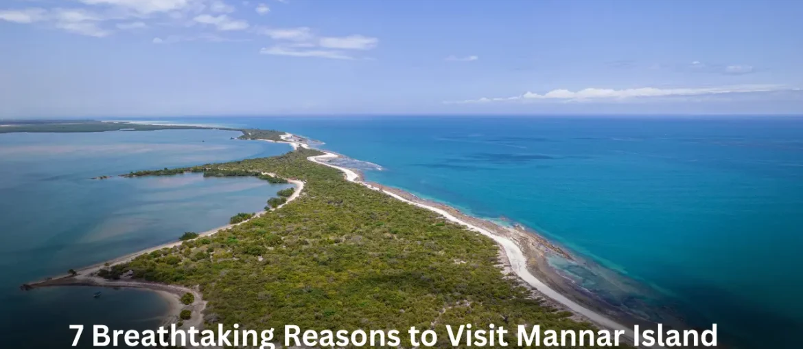 “7 Breathtaking Reasons to Visit Mannar Island – Wind-Blown Landscapes & Birdlife