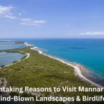 “7 Breathtaking Reasons to Visit Mannar Island – Wind-Blown Landscapes & Birdlife