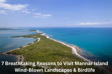 “7 Breathtaking Reasons to Visit Mannar Island – Wind-Blown Landscapes & Birdlife