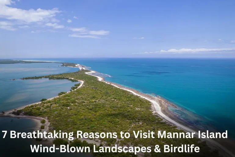 “7 Breathtaking Reasons to Visit Mannar Island – Wind-Blown Landscapes & Birdlife
