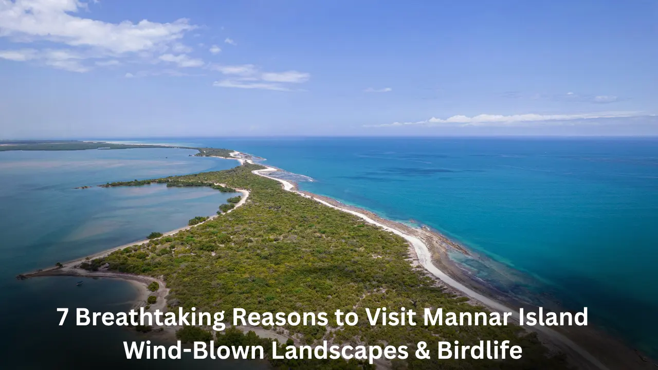 7 Breathtaking Reasons to Visit Mannar Island – Wind-Blown Landscapes & Birdlife “7 Breathtaking Reasons to Visit Mannar Island – Wind-Blown Landscapes & Birdlife
